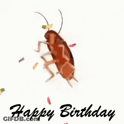 Birthday Roach Greeting GIF