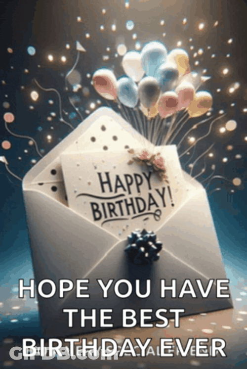 Birthday Wishes Meme GIF