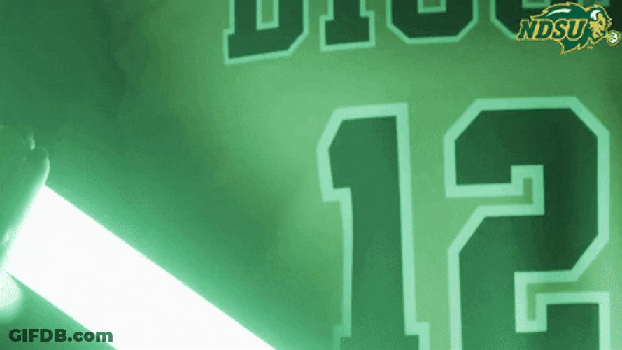 Bison Girl Player Serious Look GIF