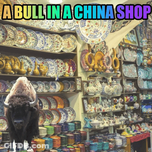 Bison In China Shop GIF