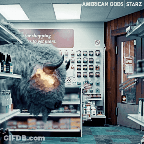 Bison In Grocery Store GIF