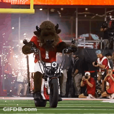 Bison Mascot Riding Motorcycle GIF