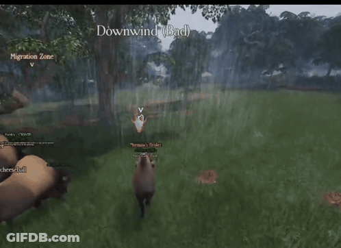 Bison Named Cheeseball In The Rain GIF