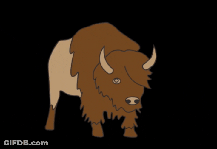 Bison Nose Blowing Air GIF