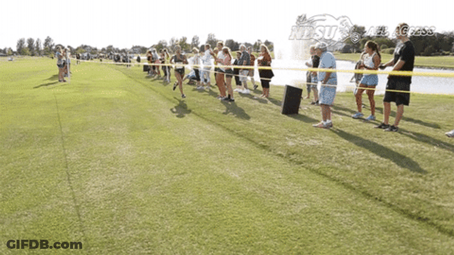 Bison Runner Finish Line GIF
