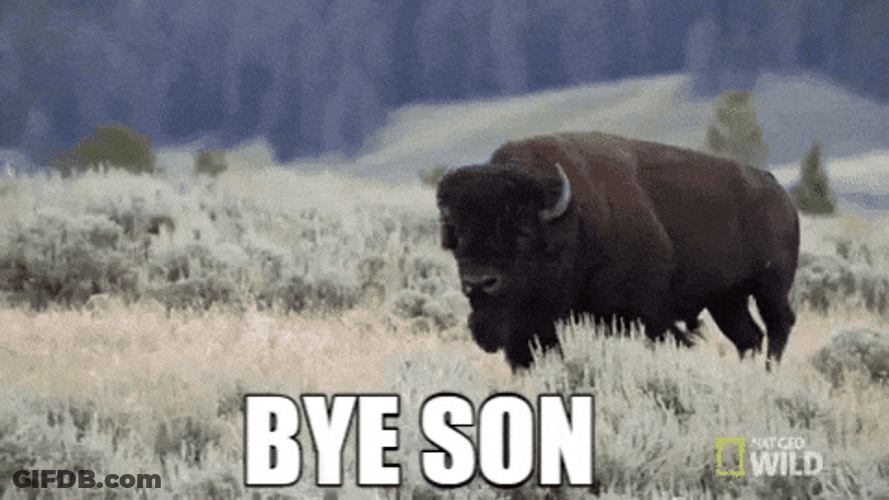 Bison Saying Bye Son GIF