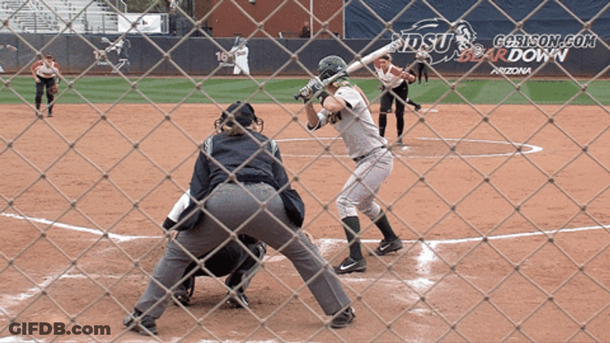 Bison Softball Swinging Bat GIF