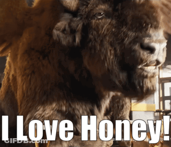 Bison With I Love Honey GIF