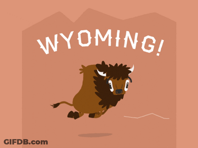 Bison Wyoming Running Fast GIF
