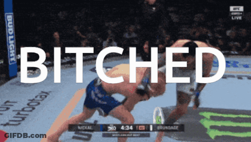 Bitches Video Game GIF