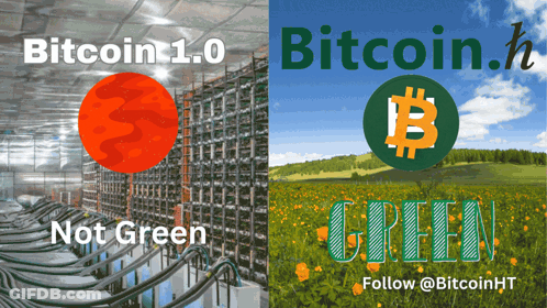 Bitcoin 1.0 Not Green Poster GIF