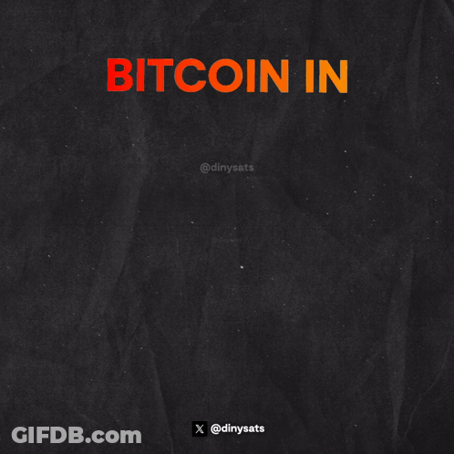 Bitcoin Days Years Decades Poster GIF