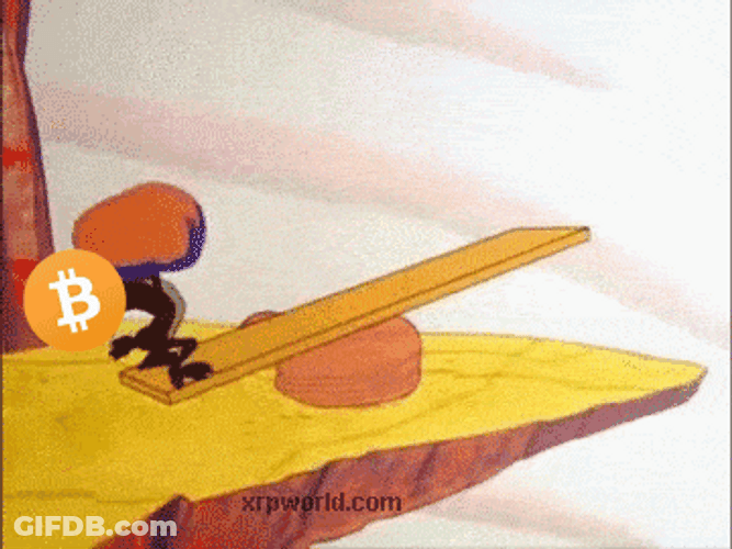 Bitcoin Seesaw Wile Coyote GIF