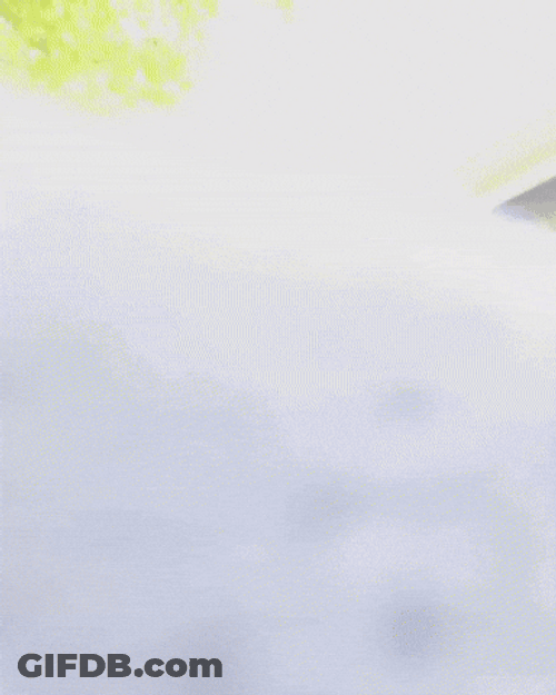 Bite Moving Cat GIF