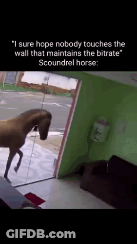 Bitrate Scoundrel Horse GIF