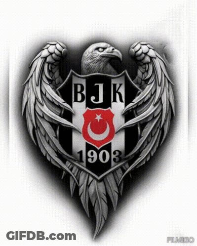 BJK 1903 Black White Eagle Feathers Logo GIF
