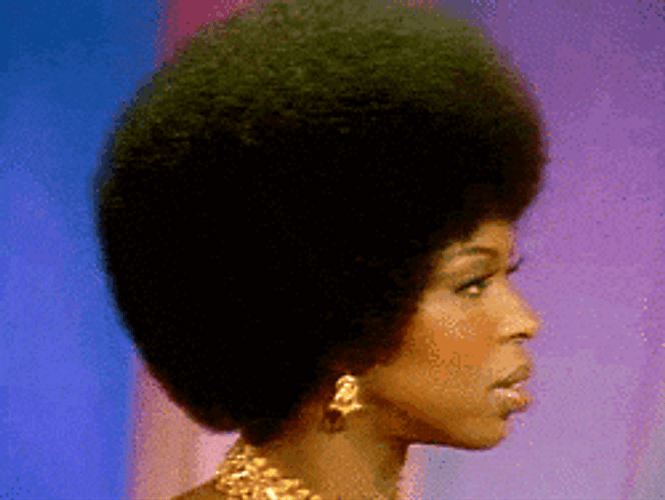 Black Afro Hair Classic Look GIF