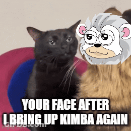Black And Brown Cats Your Face After I Bring Up Kimba Again GIF