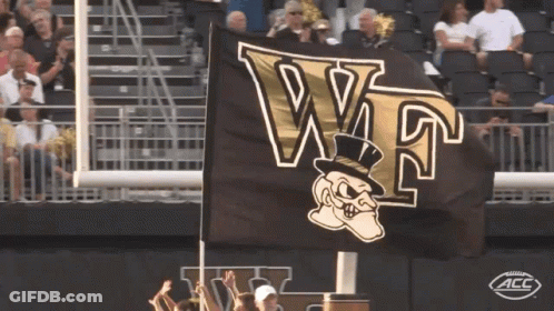 Black And Gold Flag With Letters W And T GIF