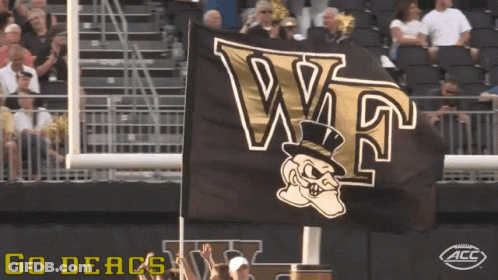 Black And Gold WT Flag Flying In Wind GIF