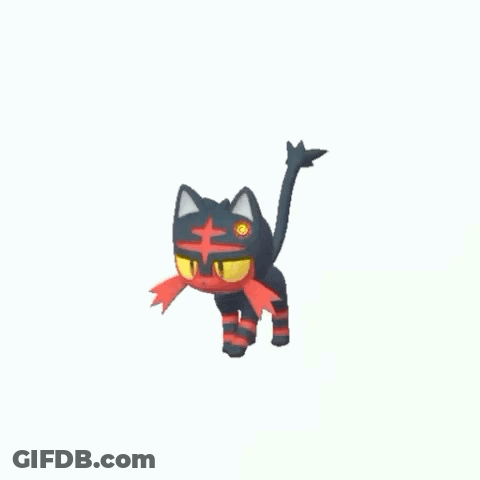 Black And Red Cat With Yellow Eye Walking GIF