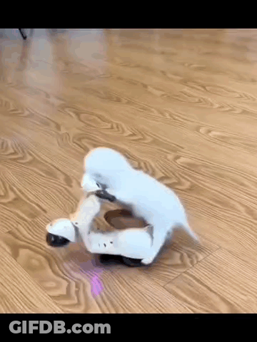 Black And Silver Scooter Parked In Front Of Door GIF