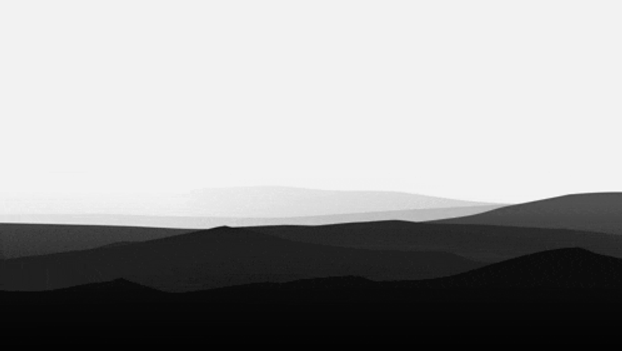 Black And White 1 Meme GIF