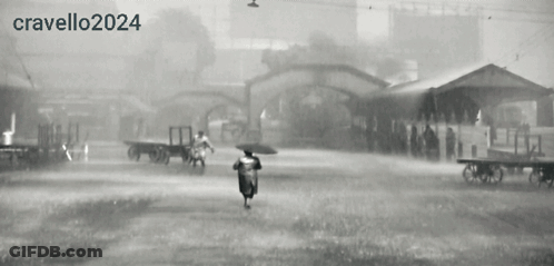 Black And White 2024 Photo GIF