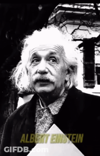 Black And White Albert Einstein GIF