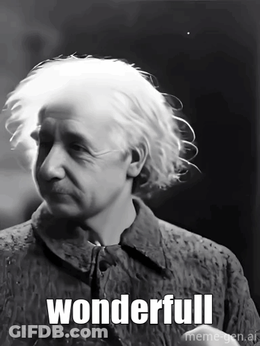 Black And White Albert Einstein Saying Wonderful GIF