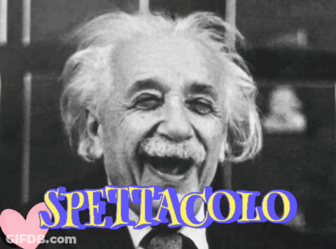 Black And White Albert Einstein Spettacolo GIF