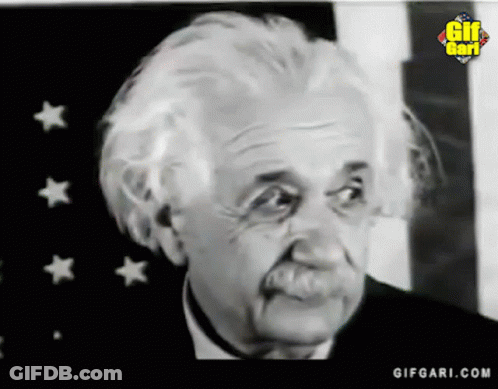 Black And White Albert Einstein With Gifgari.com Logo GIF
