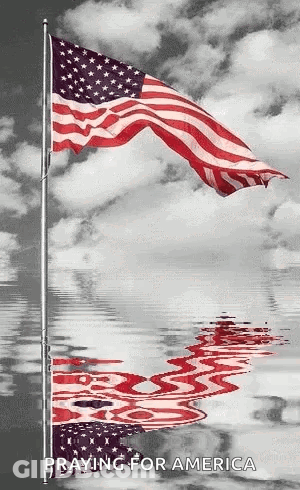 Black And White American Flag Waving Reflection GIF