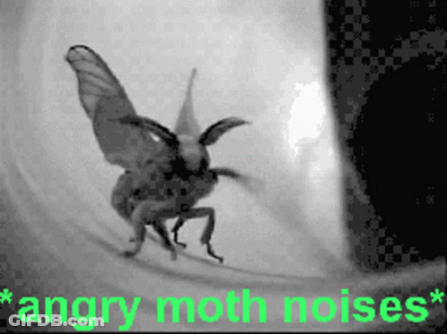 Black And White Angry Moth Saying Angry Moth Noises GIF