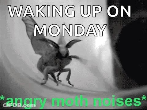 Black And White Angry Moth Waking Up Monday GIF
