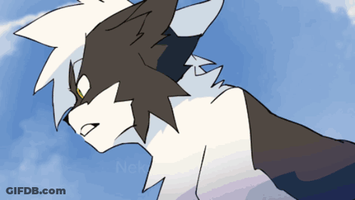 Black And White Animal Neko GIF