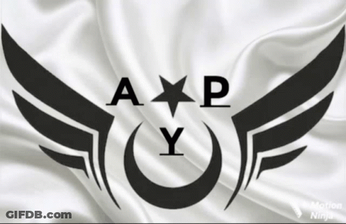 Black And White APY Logo GIF