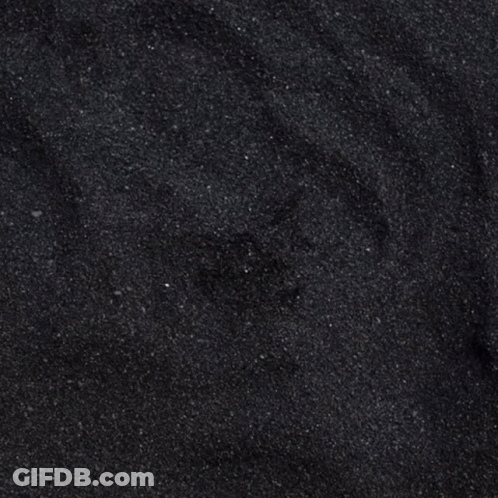 Black And White Band Destination Fear GIF