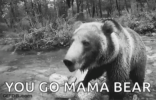 Black And White Bear In River You Go Mama Bear GIF