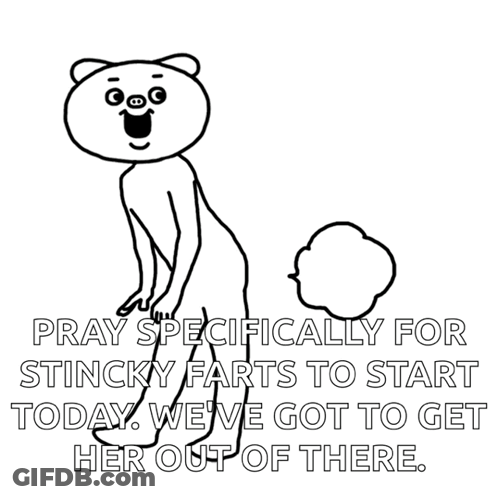 Black And White Bear Saying Pray For Farts GIF