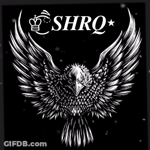 Black And White Bird Drawing Shrq GIF