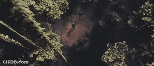 Black And White Bird Flying In Rain GIF