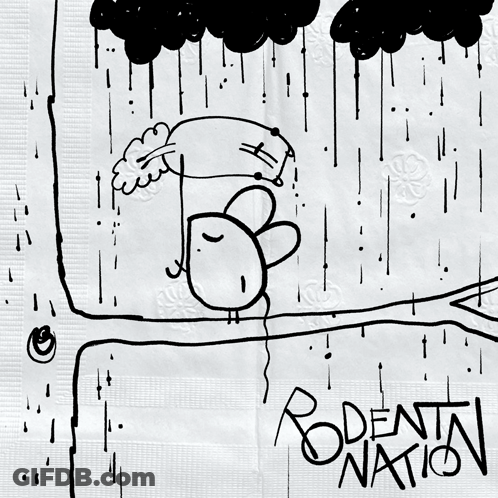 Black And White Bird Holding Umbrella Death Nation GIF