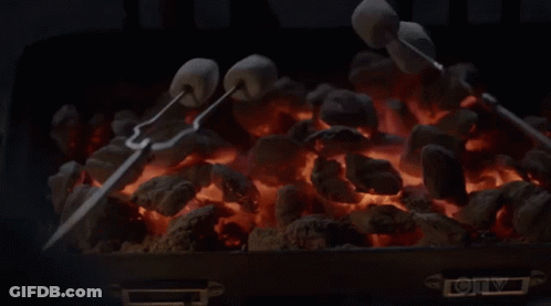 Black And White Bird Holding Umbrella Death Nation GIF
