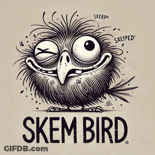 Black And White Bird Saying Skem Bird GIF