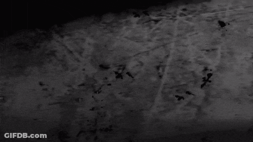 Black And White Birds Flying In Cloudy Sky GIF