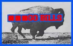 Black And White Bison With Co Bulls In Red GIF