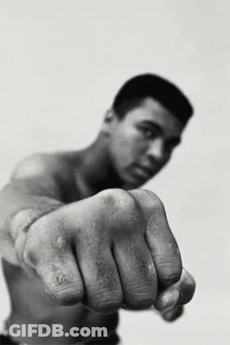 Black And White Boxer Fist Pointing At Camera GIF