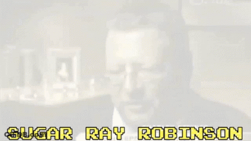 Black And White Boxing Match Sugar Ray Robinson GIF