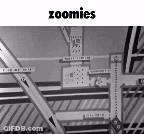 Black And White Building With Word Zoomies GIF